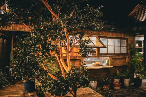 🌲 Khám Phá Evergreen Retreat Đà Lạt | Homestay Ẩn Mình Trong Rừng Sâu 6 Neon Film Studio khu sinh hoat chung Neon Film Studio