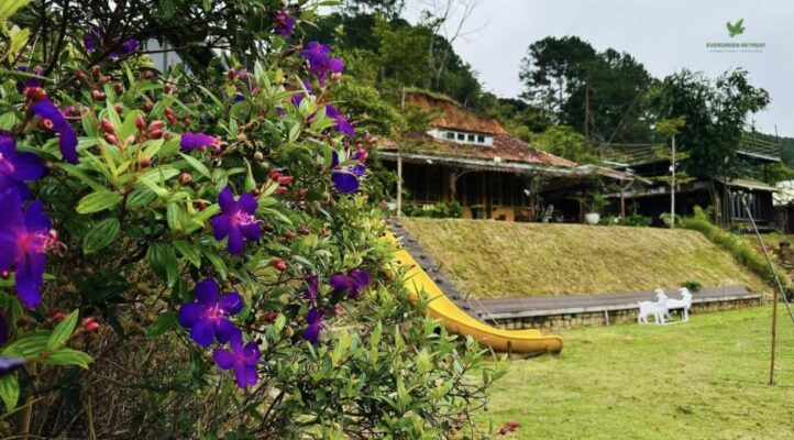 🌲 Khám Phá Evergreen Retreat Đà Lạt | Homestay Ẩn Mình Trong Rừng Sâu 8 Neon Film Studio nhachung gia dinh Neon Film Studio